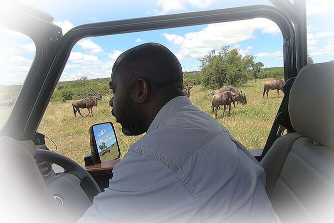 Full Day Private Kruger Park Safari - Authentic Insights from Reviews