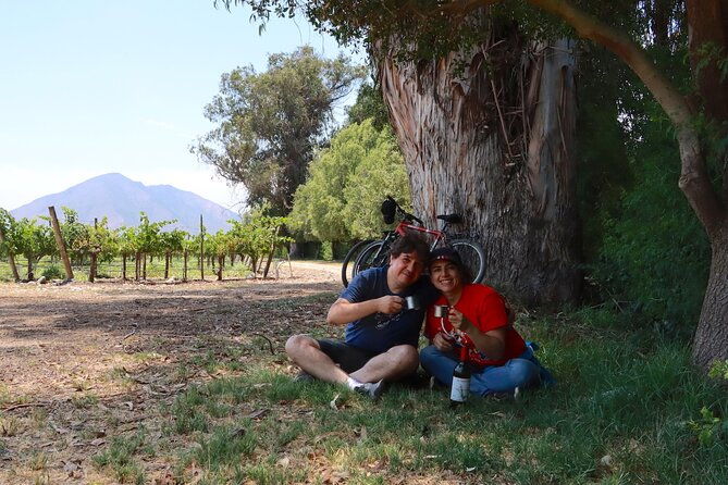 full-day-private-maipo-valley-bike-tour-and-wine-tasting-from-santiago