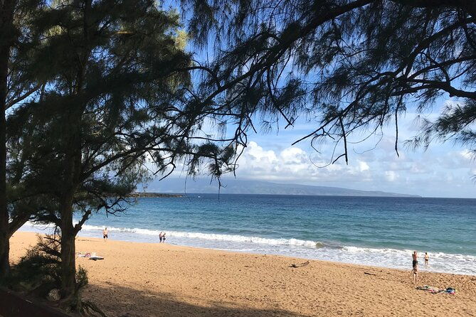 full-day-private-maui-tour