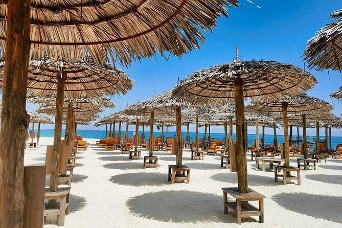 Full Day Private Mnemba Island + Turtles Aquarium & Kendwa Beach - The Sum Up: Is This Tour Worth It?