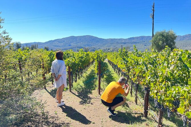 full-day-private-napa-valley-wine-experience
