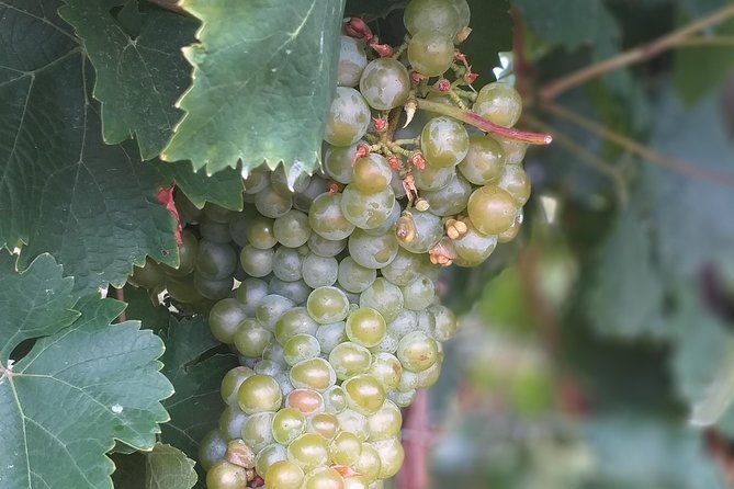 full-day-private-prosecco-tour-with-certified-sommelier-2