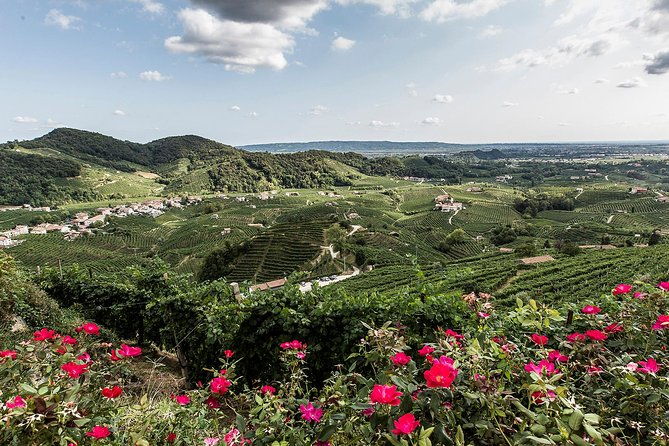 full-day-private-prosecco-tour-with-certified-sommelier-2