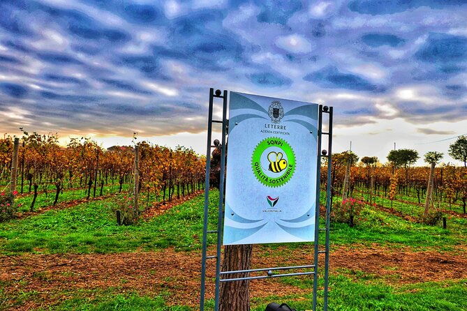 full-day-private-prosecco-tour-with-certified-sommelier