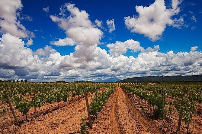 full-day-private-requena-wineries-premium-tastings