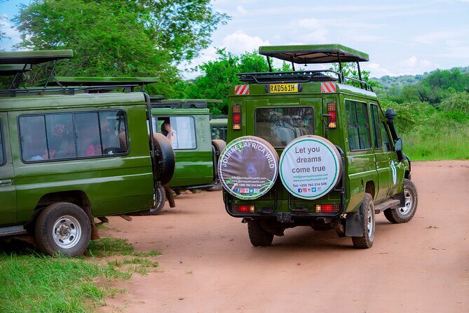 Full-Day Private Safari of Akagera National Park with Lunch - Final Thoughts