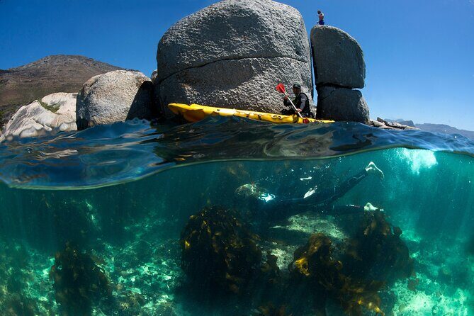 Full Day Private Sea Kayaking & Cape Point - Who Will Love This Tour?