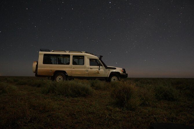 Full-Day Private Serengeti Safari from Mwanza - Introducing the Serengeti Safari from Mwanza