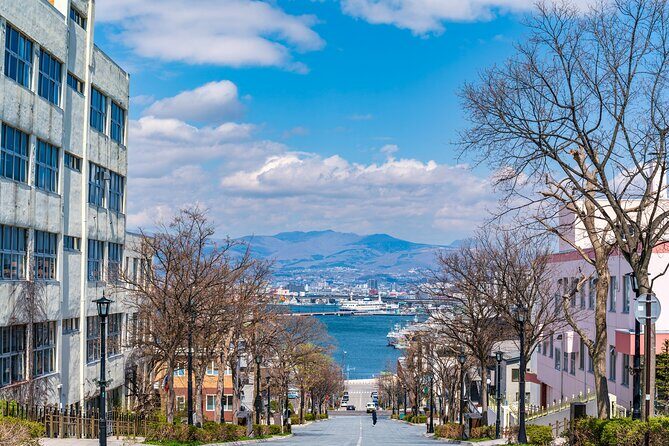 Full-Day Private Shore Tour Hakodate Highlights by Van - Who Should Consider This Tour?