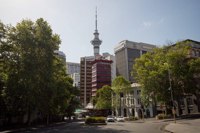 Full Day Private Shore Tour in Auckland from Bay Of Islands Port - Real Traveler Insights