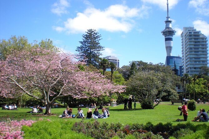 Full Day Private Shore Tour in Auckland from Bay Of Islands Port - The Sum Up