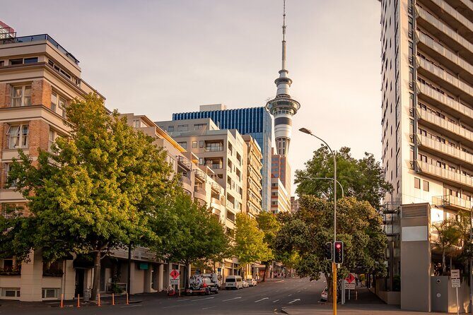 Full Day Private Shore Tour in Auckland from Tauranga Cruise Port - FAQ