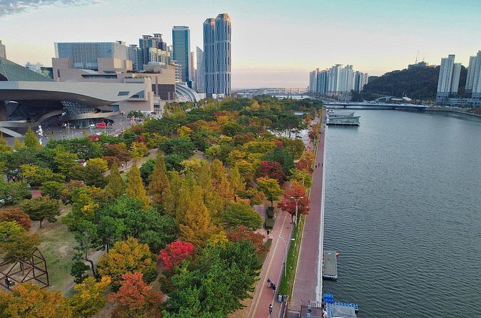 Full Day Private Shore Tour in Busan from Busan Cruise Port - Who should consider this tour?