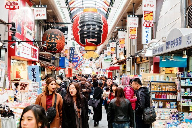 full-day-private-shore-tour-in-osaka-from-osaka-cruise-port