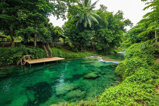 Full Day Private Shore Tour: Taste, Sea & Swim in Port Vila - An In-Depth Look at the Full Day Shore Tour in Port Vila