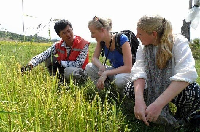 Full Day Private Silk Village And Elephant Waterfall Tour - Final Thoughts