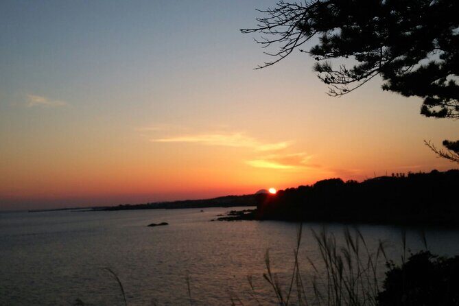 Full-Day Private South and West of Jeju Island Taxi Tour - Key Points