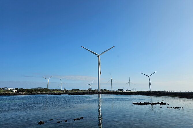 Full-Day Private South and West of Jeju Island Taxi Tour - Practical Aspects and Traveler Tips