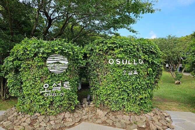 Full-Day Private South and West of Jeju Island Taxi Tour - FAQ
