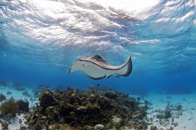 full-day-private-stingray-city-snorkeling-and-starfish-beach-tour