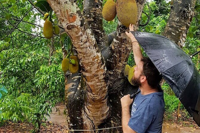 Full Day Private Stone Town, Spice Farm & Prison Island Tour - Why You’ll Love This Tour