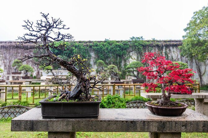 Full-Day Private Suzhou and Tongli Tour by Bullet Train - Why This Tour Works Well for Travelers