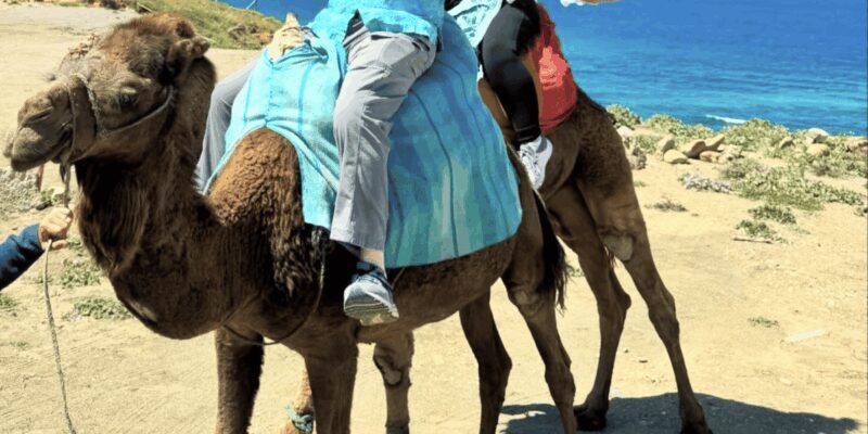 Full Day Private Tangier Day Tour - FAQ
