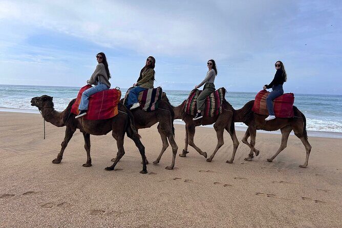 Full Day Private Tangier Tour from Cruise Ship All Inclusive - FAQ