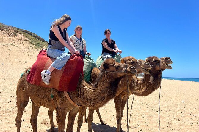 Full Day Private Tangier Tour From Tarifa All Inclusive - Key Points
