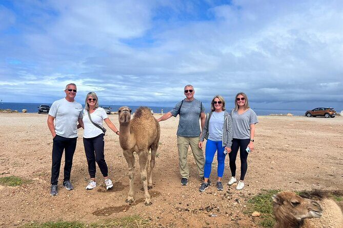 Full Day Private Tangier Tour From Tarifa All Inclusive - Introduction: Why This Tour Stands Out