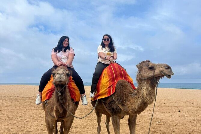 Full Day Private Tangier Tour From Tarifa All Inclusive - The Sum Up: Who Should Book This Tour?