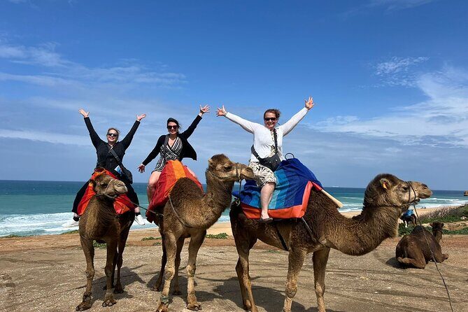 Full Day Private Tangier Tour From Tarifa All Inclusive - FAQ