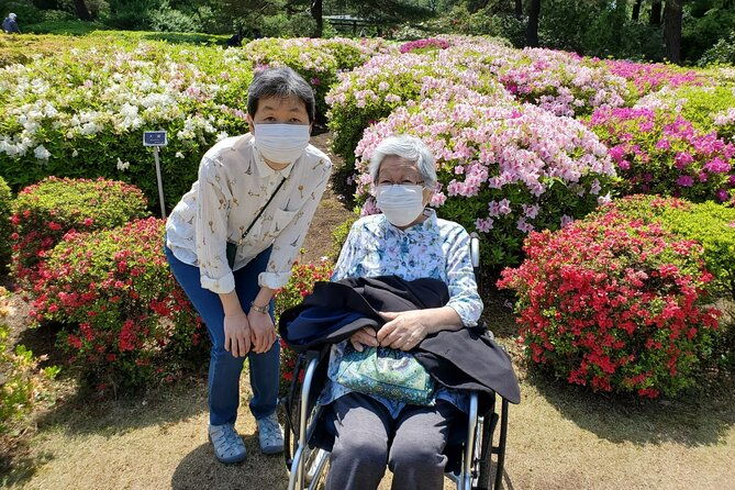 full-day-private-tokyo-tour-for-wheelchair-users