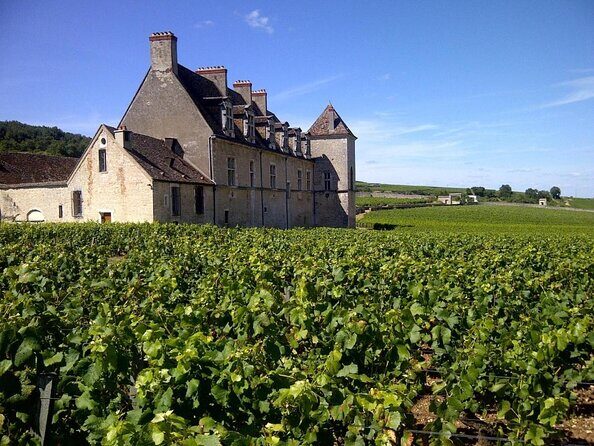 Full-Day Private Tour, 6 Premiers & Grands Crus, The Best of Burgundy - An In-Depth Look at the Burgundy Private Tour