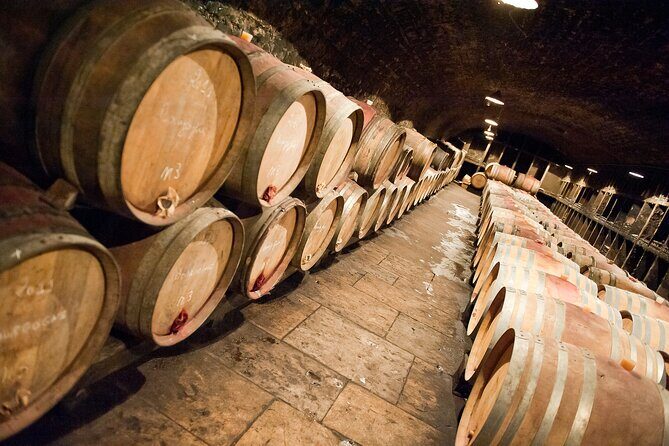 Full-Day Private Tour, 6 Premiers & Grands Crus, The Best of Burgundy - Final Thoughts