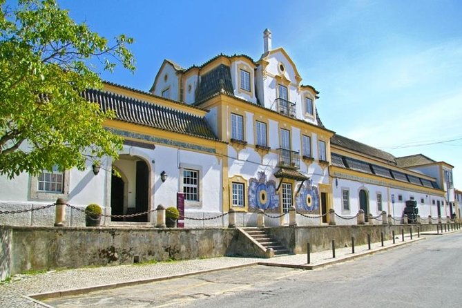 full-day-private-tour-arrabida-beaches-and-azeitao-wine-region