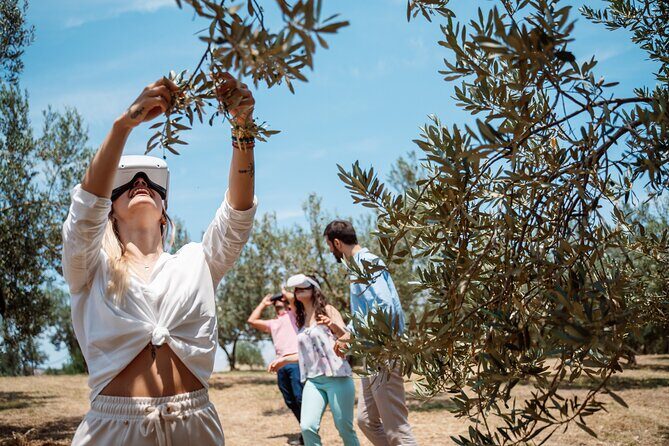 Full-Day Private Tour Corinth and Olive Oil Tasting from Athens - Practical Details: What You Need to Know