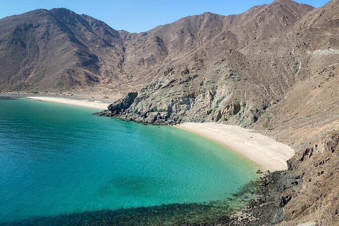 Full-Day Private Tour Explore the Six Emirates with Hotel Pick-up - The Transportation and Comfort