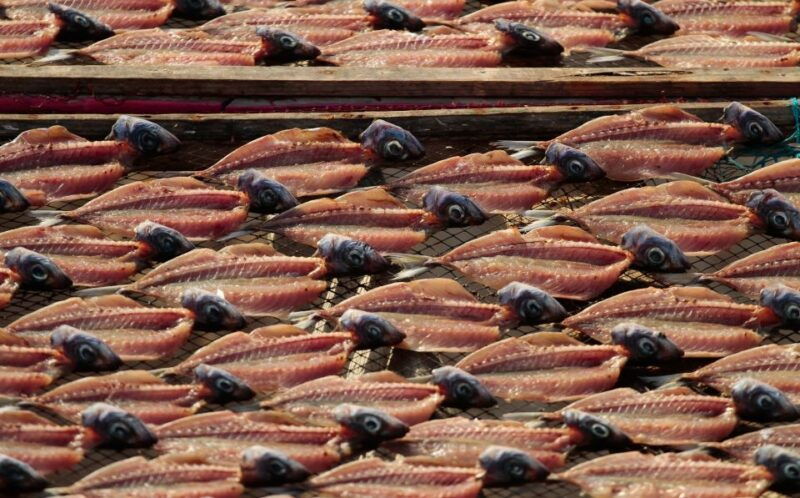 full-day-private-tour-fatima-batalha-obidos-from-lisbon