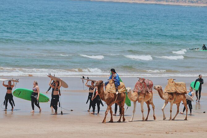 Full Day Private Tour from Marrakesh to Essaouira with Pickup - A Detailed Look at the Essaouira Day Trip
