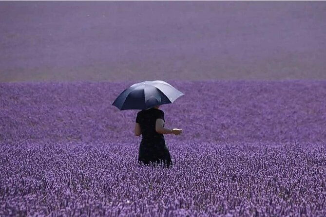 full-day-private-tour-gorges-du-verdon-lavender-june-15-july-15