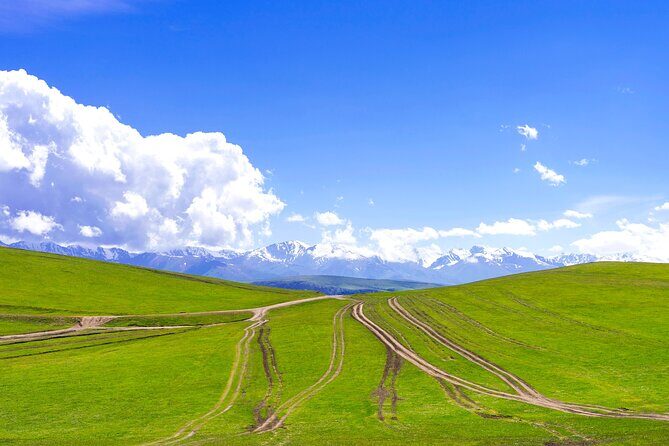 Full Day Private Tour in Assy Plateau - Key Points