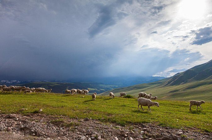 Full Day Private Tour in Assy Plateau - Final Thoughts