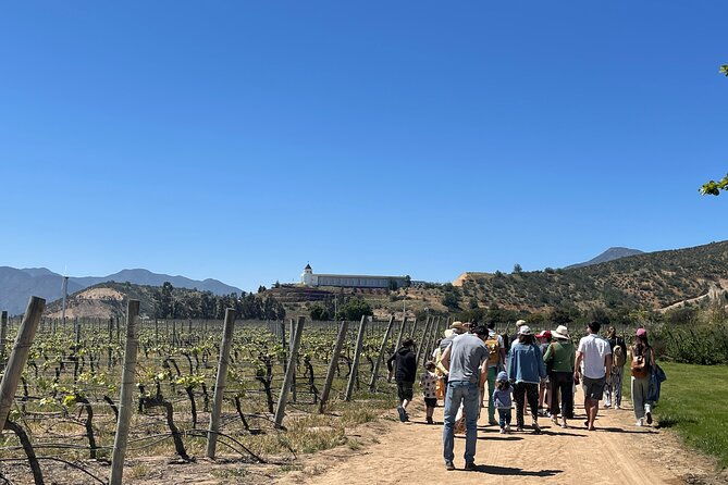 full-day-private-tour-in-casablanca-valparaiso-and-vina-del-mar