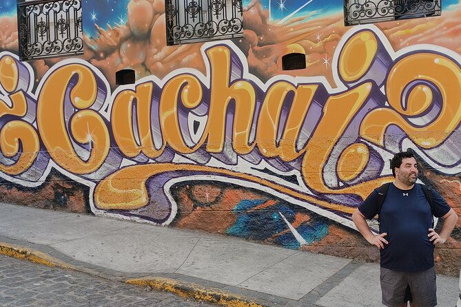 full-day-private-tour-in-casablanca-valparaiso-and-vina-del-mar