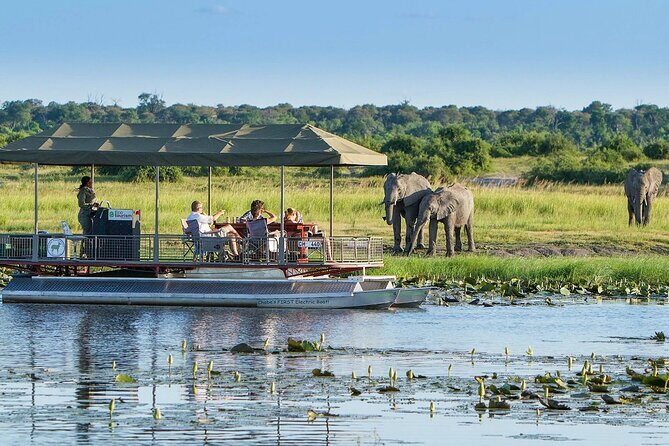 Full Day Private Tour in Chobe - What Makes This Tour Special?
