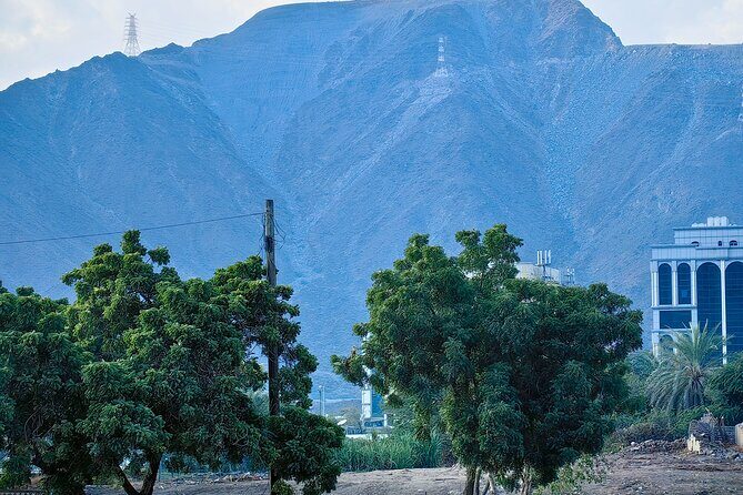 Full Day Private Tour in East Coast Khorfakkan - FAQs