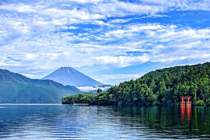 Full Day Private Tour in Hakone - Who is this tour best for?