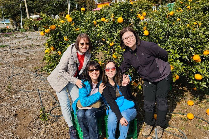 full-day-private-tour-in-jeju-island