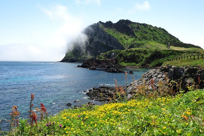 Full-Day Private Tour in Jeju Scenic East Coast - Who is This Tour Best for?